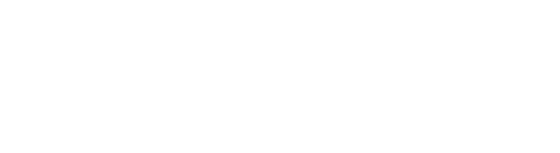 West Shore Groups Logo White