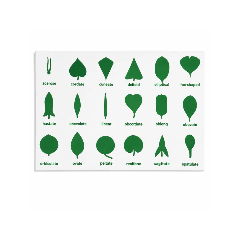 Botany Cabinet Control Chart 1 Botany Cabinet Control Chart