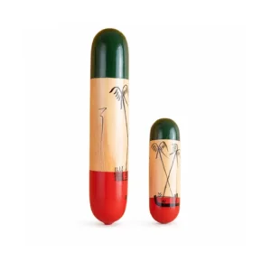 Home 21 Colored Wood Shakers
