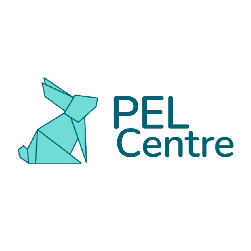 About 29 Pel Centre