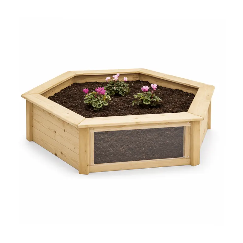 Preschool Hexagonal Planter 1 Preschool Hexagonal Planter