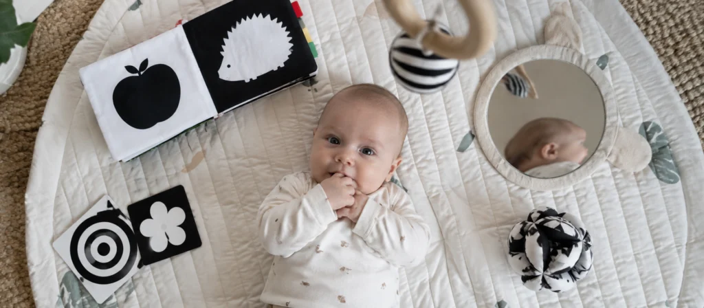 Visual Stimulation For Newborns: A Guide To Early Vision And Development 3 High Contrast Materials
